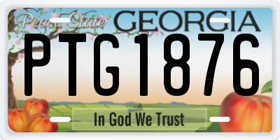 GA license plate PTG1876