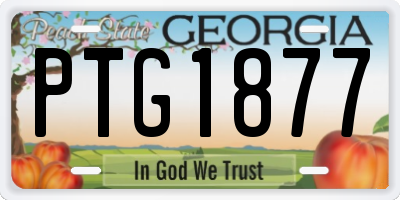 GA license plate PTG1877