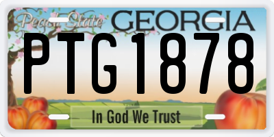 GA license plate PTG1878