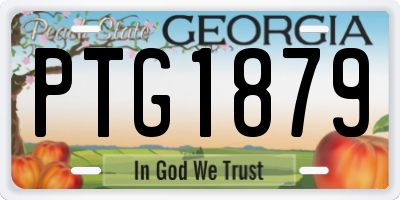 GA license plate PTG1879