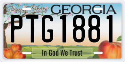 GA license plate PTG1881