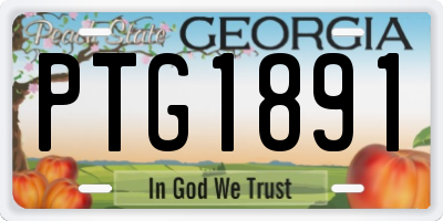 GA license plate PTG1891