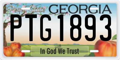 GA license plate PTG1893