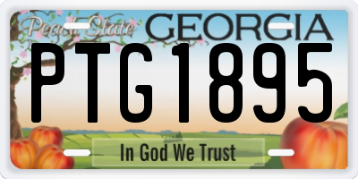GA license plate PTG1895