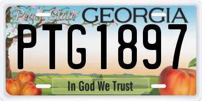 GA license plate PTG1897