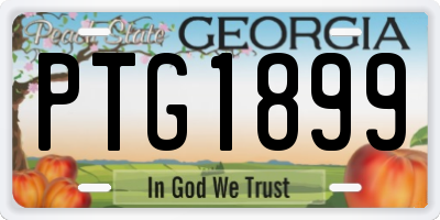 GA license plate PTG1899