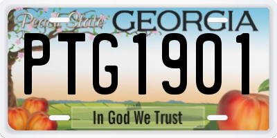 GA license plate PTG1901