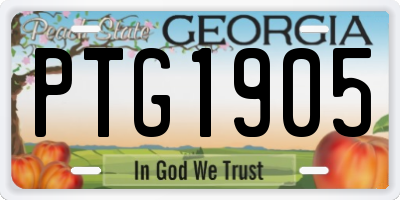 GA license plate PTG1905