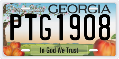 GA license plate PTG1908