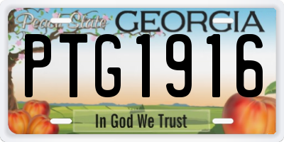 GA license plate PTG1916
