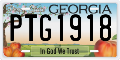 GA license plate PTG1918