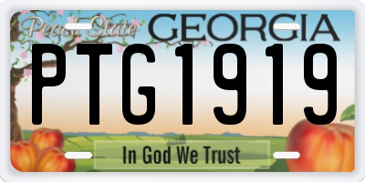 GA license plate PTG1919