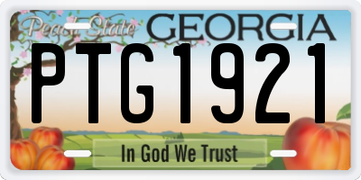 GA license plate PTG1921