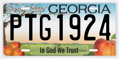 GA license plate PTG1924