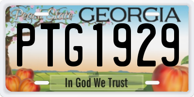 GA license plate PTG1929