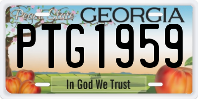 GA license plate PTG1959