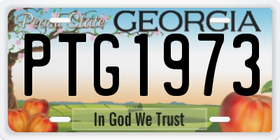 GA license plate PTG1973