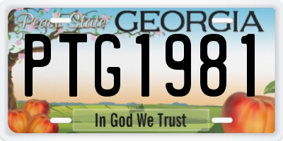 GA license plate PTG1981