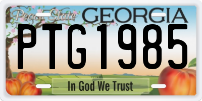 GA license plate PTG1985