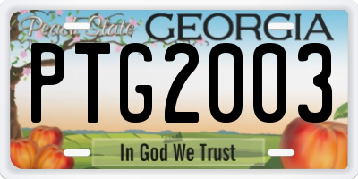 GA license plate PTG2003