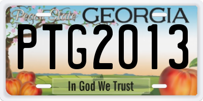 GA license plate PTG2013