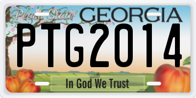 GA license plate PTG2014