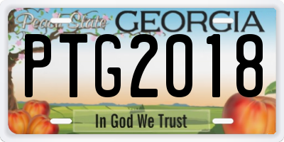 GA license plate PTG2018
