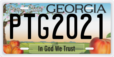 GA license plate PTG2021