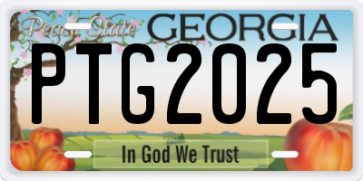 GA license plate PTG2025