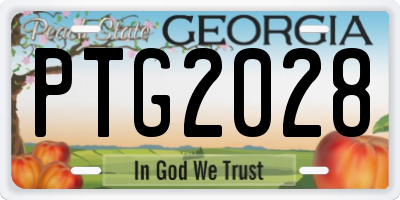 GA license plate PTG2028