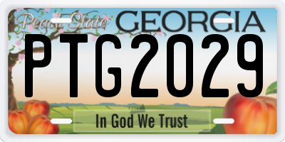 GA license plate PTG2029