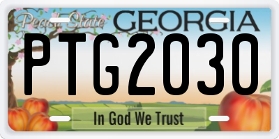 GA license plate PTG2030
