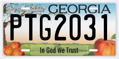GA license plate PTG2031