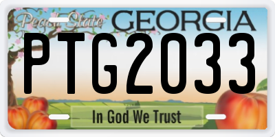 GA license plate PTG2033