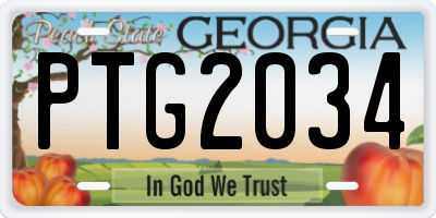 GA license plate PTG2034