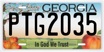 GA license plate PTG2035