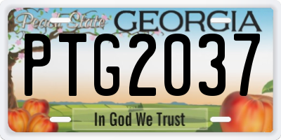GA license plate PTG2037