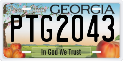 GA license plate PTG2043