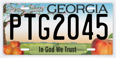 GA license plate PTG2045