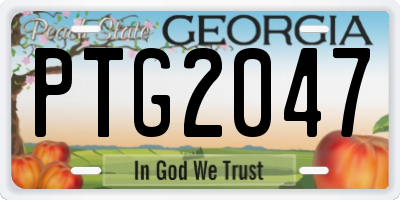 GA license plate PTG2047