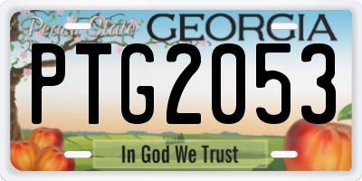 GA license plate PTG2053