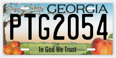 GA license plate PTG2054