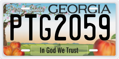 GA license plate PTG2059