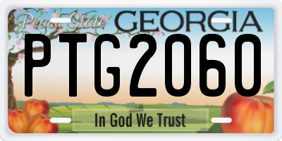 GA license plate PTG2060