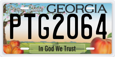 GA license plate PTG2064