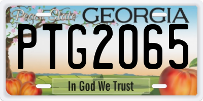 GA license plate PTG2065