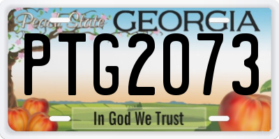 GA license plate PTG2073