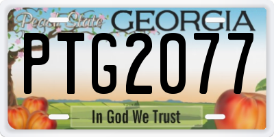 GA license plate PTG2077