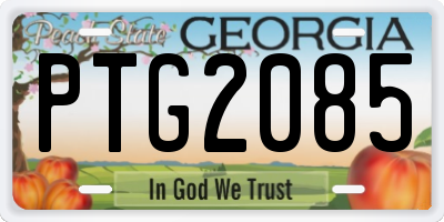 GA license plate PTG2085