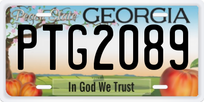 GA license plate PTG2089